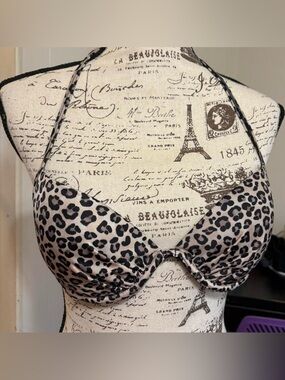 Cheetah Print Padded Plunge Bikini Top by H&M